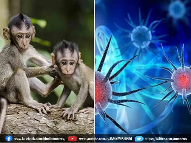 Monkey fever