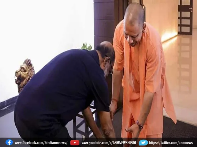 yogi45769.jpg
