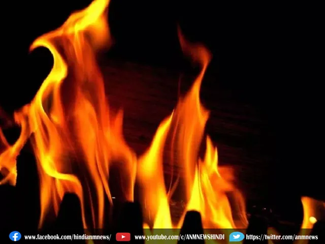 fire 317223