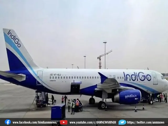 Indigo flight