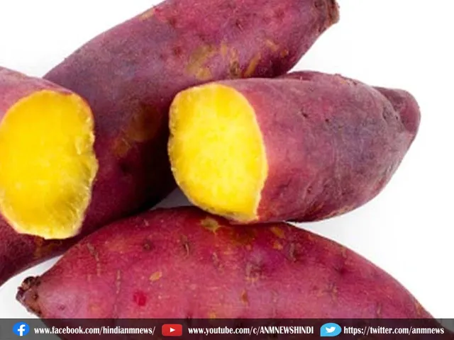 sweet potato