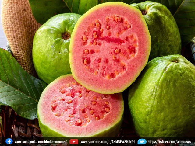 guava