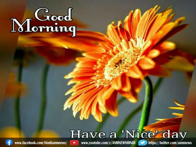 morning