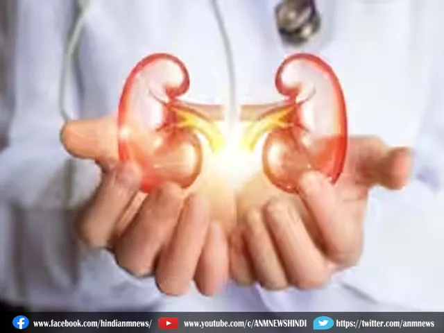 kidney