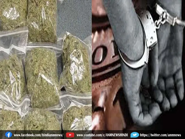 ganja785