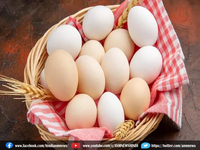 egg price