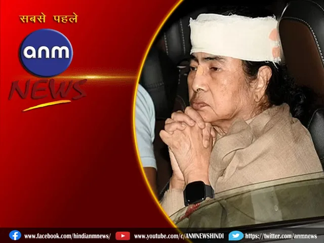 mamta banerjee
