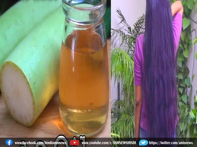 lauki oil