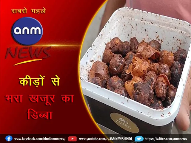 Box of dates full of insects