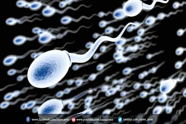 संक्रमित पुरुषों की प्रजनन क्षमता पर सीधा अटैक कर रहा कोरोना