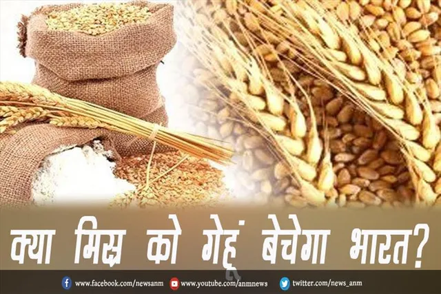 क्या मिस्र को गेहूं बेचेगा भारत?
