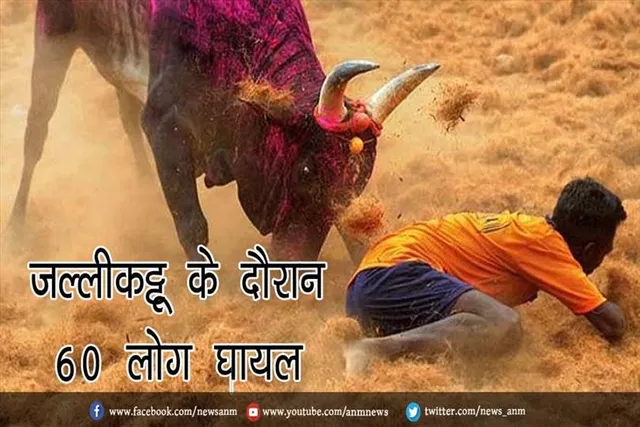 जल्लीकट्टू के दौरान 60 लोग घायल
