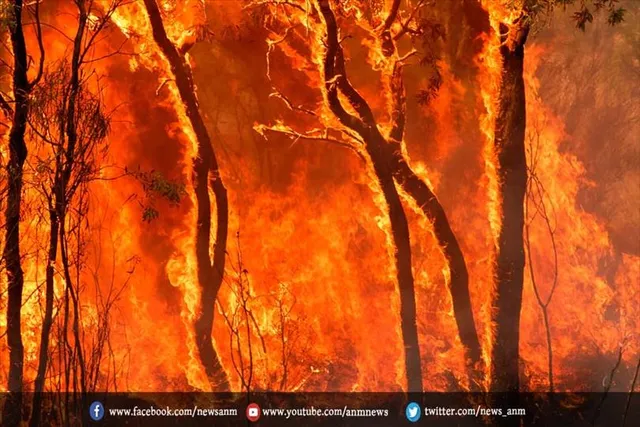 यंहा वनाग्नि में तेजी की संभावना अधिक है