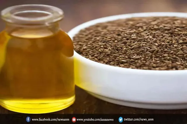 अजवाइन के तेल के फायदे