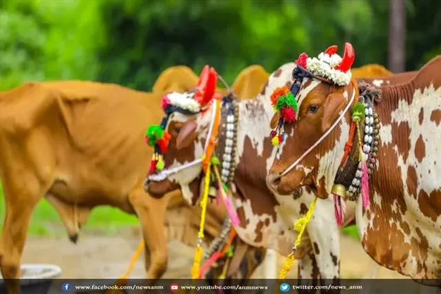 जानिए पोला पर्व मनाने का कारण