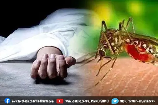 इस साल डेंगू से हुई 23 लोगों की मौत