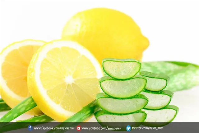 बालों को हेल्दी और डैंड्रफ फ्री बनाये
