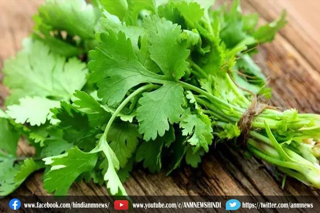 इस हरी पत्ती का जूस कर देगा काम तमाम
