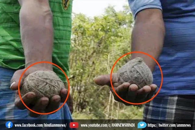 गुंडों ने फेंका देशी बम, छह लोग गंभीर रूप से घायल