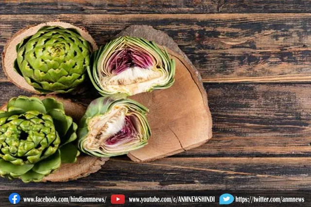 कई बीमारियों में रामबाण औषधि माना जाता है आर्टिचोक