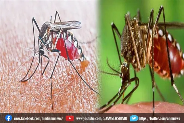 डेंगू के मामलों ने छह साल का रिकॉर्ड तोड़ दिया