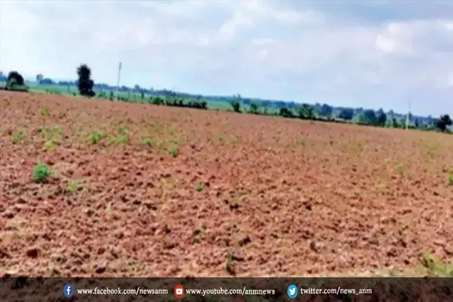 बुंदेलखंड में किसानों की भारी नुकसान
