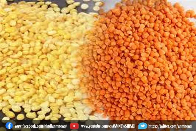 इंदौर में इस दाल का भाव कम