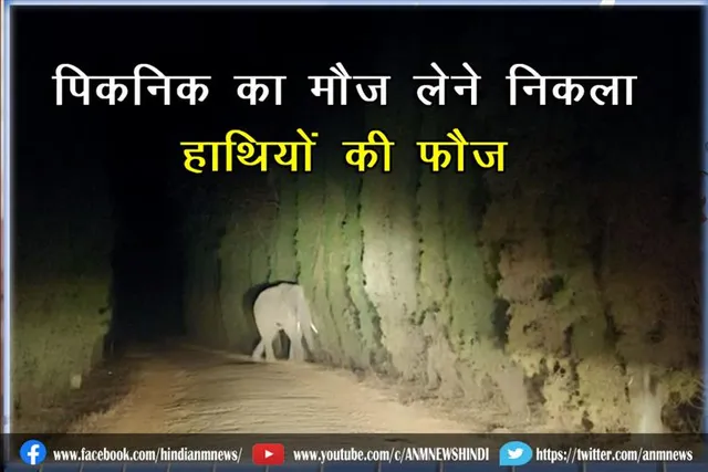 पिकनिक का मौज लेने निकला हाथियों की फौज