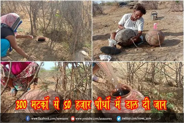 300 मटकों से 50 हजार पौधों में डाल दी जान