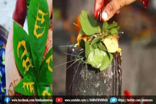 कितने बेलपत्र चढ़ाना शुभ है और कैसे चढ़ाएं