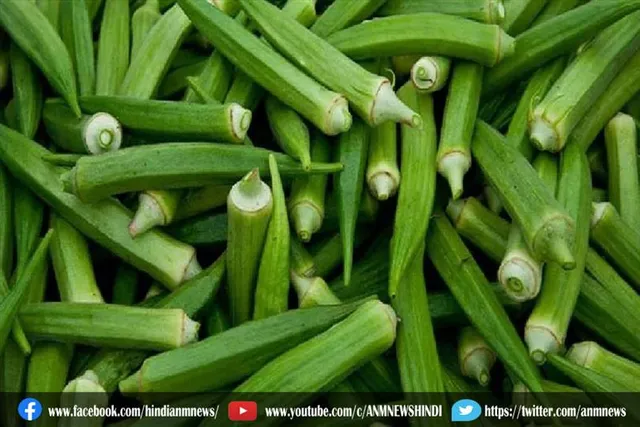 भिंडी को डाइट में शामिल करने से होगी हड्डियां मजबूत