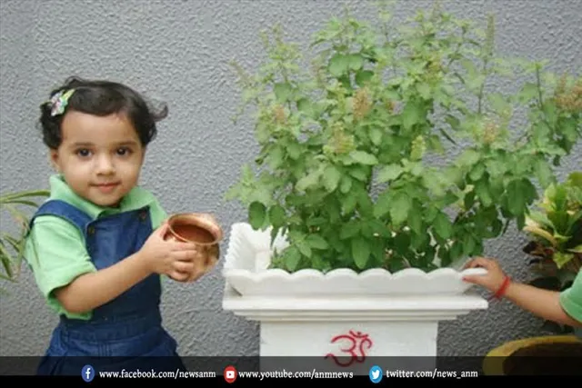 तुलसी माता की कृपा पाने के लिए करे रोज ये काम