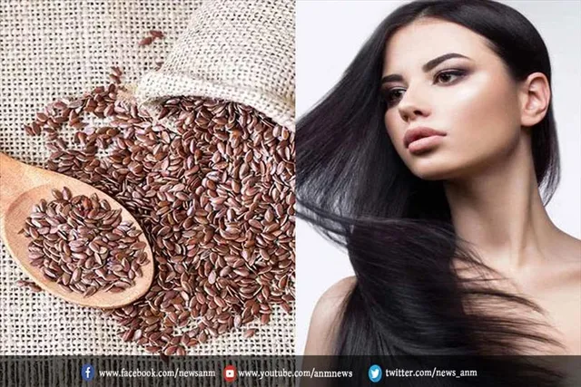 सर्दियों में बालों को Dryness से छुटकारा दिलवाएंगे अलसी के बीज