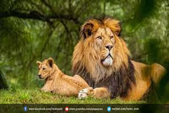 जानिए आज हैं विश्व वन्यजीव दिवस