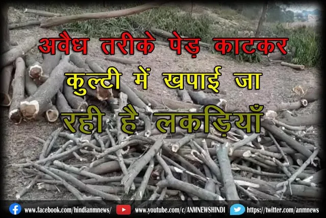 अवैध तरीके पेड़ काटकर कुल्टी में खपाई जा रही है लकड़ियाँ