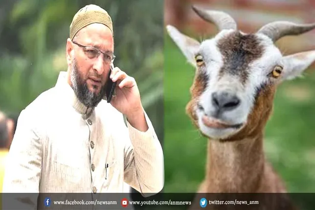 101 बकरों की कुर्बानी पड़ी भारी