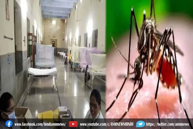 कानपुर में डेंगू का कहर