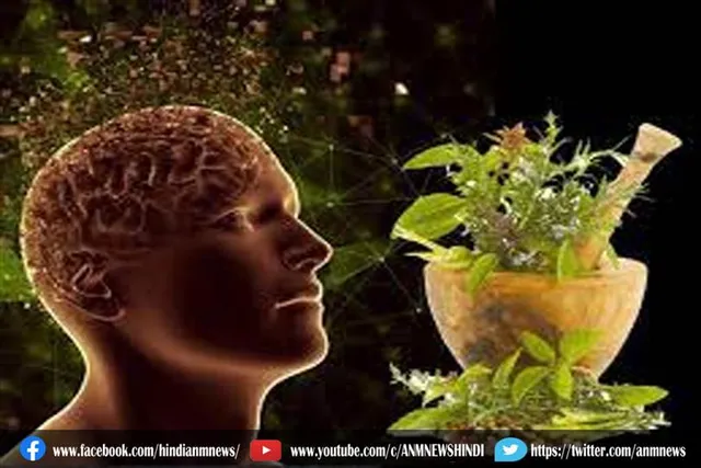 दिमाँगी रोगों से बचने का हल हैं ये 5 आयुर्वेदिक जड़ी-बूटी