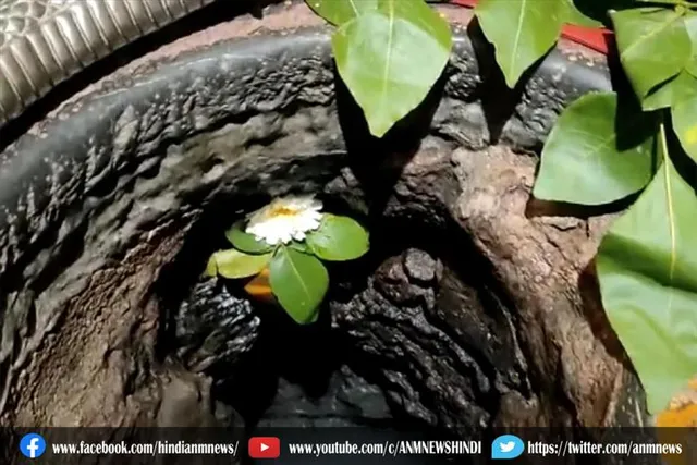 इकलौता मंदिर जहां होती है महादेव के अंगूठे की पूजा