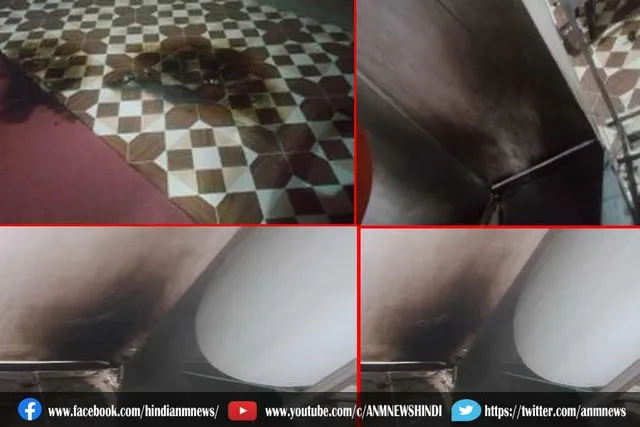 तमिलनाडु भाजपा कार्यालय पर फेंका गया पेट्रोल बम