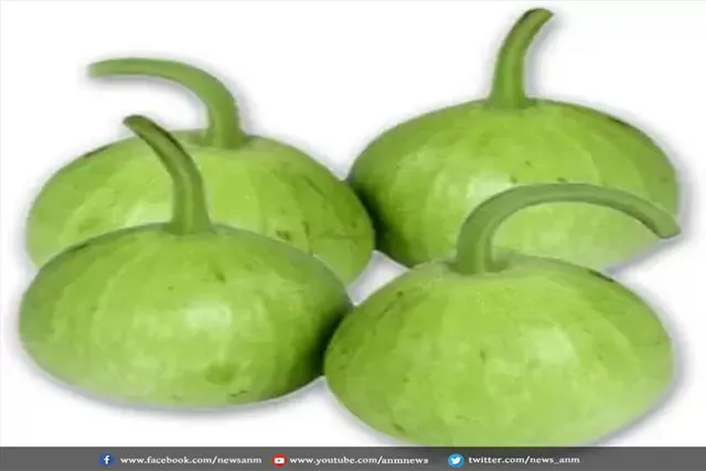 कैसे बनाये लौकी की सूप