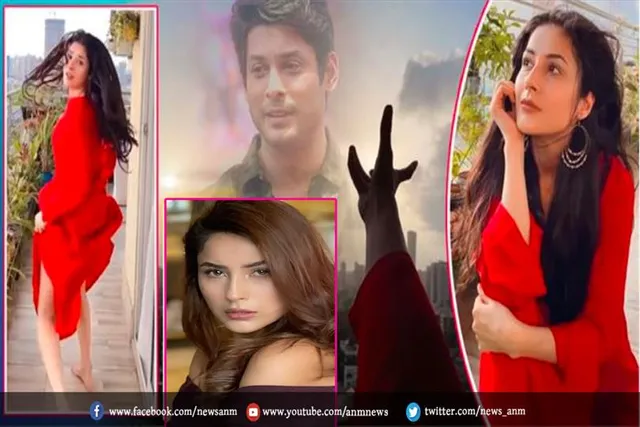 VIDEO: शहनाज़ गिल की इस नई वीडियों में दिखा दर्द