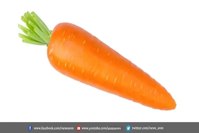 ड्राई स्किन से बचाने में मददगार हैं ये हेल्दी फूड्स