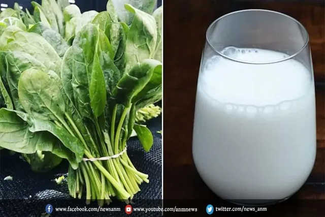 इसमें पाए जाते है विटामिन बी12