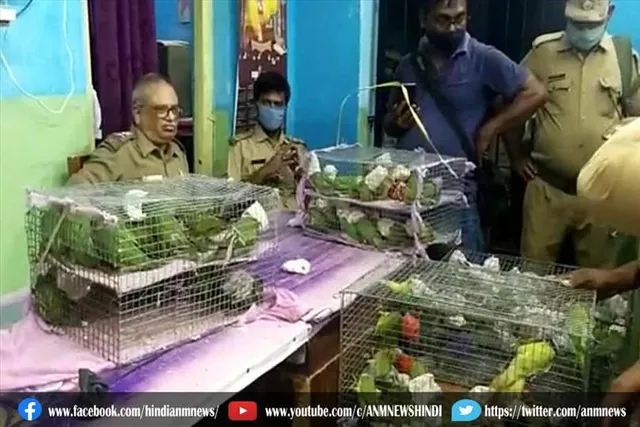 कोलकाता : फिर 124 तोते जब्त