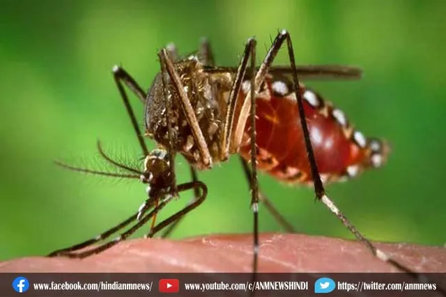 बढ़ता जा रहा है डेंगू का प्रकोप