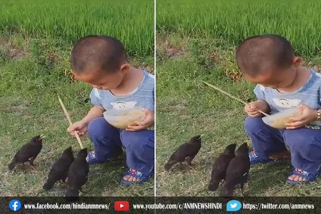 चिड़ियों को खाना खिलाते बच्चे का क्यूट सा वीडियो हुआ वायरल