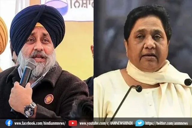 पंजाब में 20 सीटों पर लड़ेगी बसपा