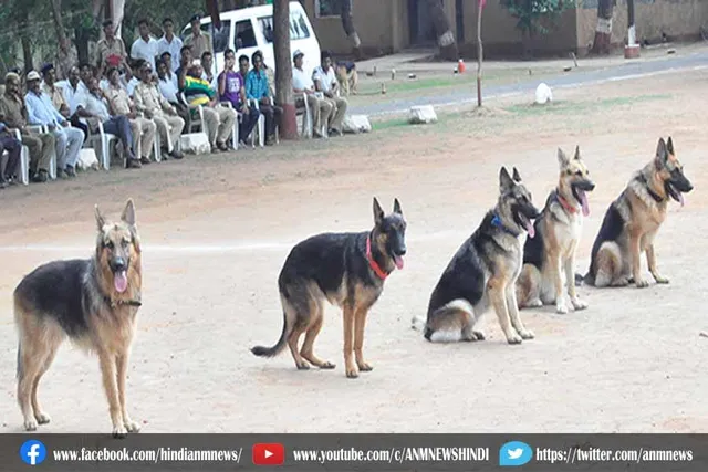सीआरपीएफ में शामिल किए जाएंगे 100 विशेष कुत्ते