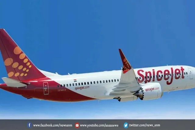 विमान कंपनी स्पाइसजेट के संचालन पर प्रतिबंध की मांग